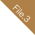 file2